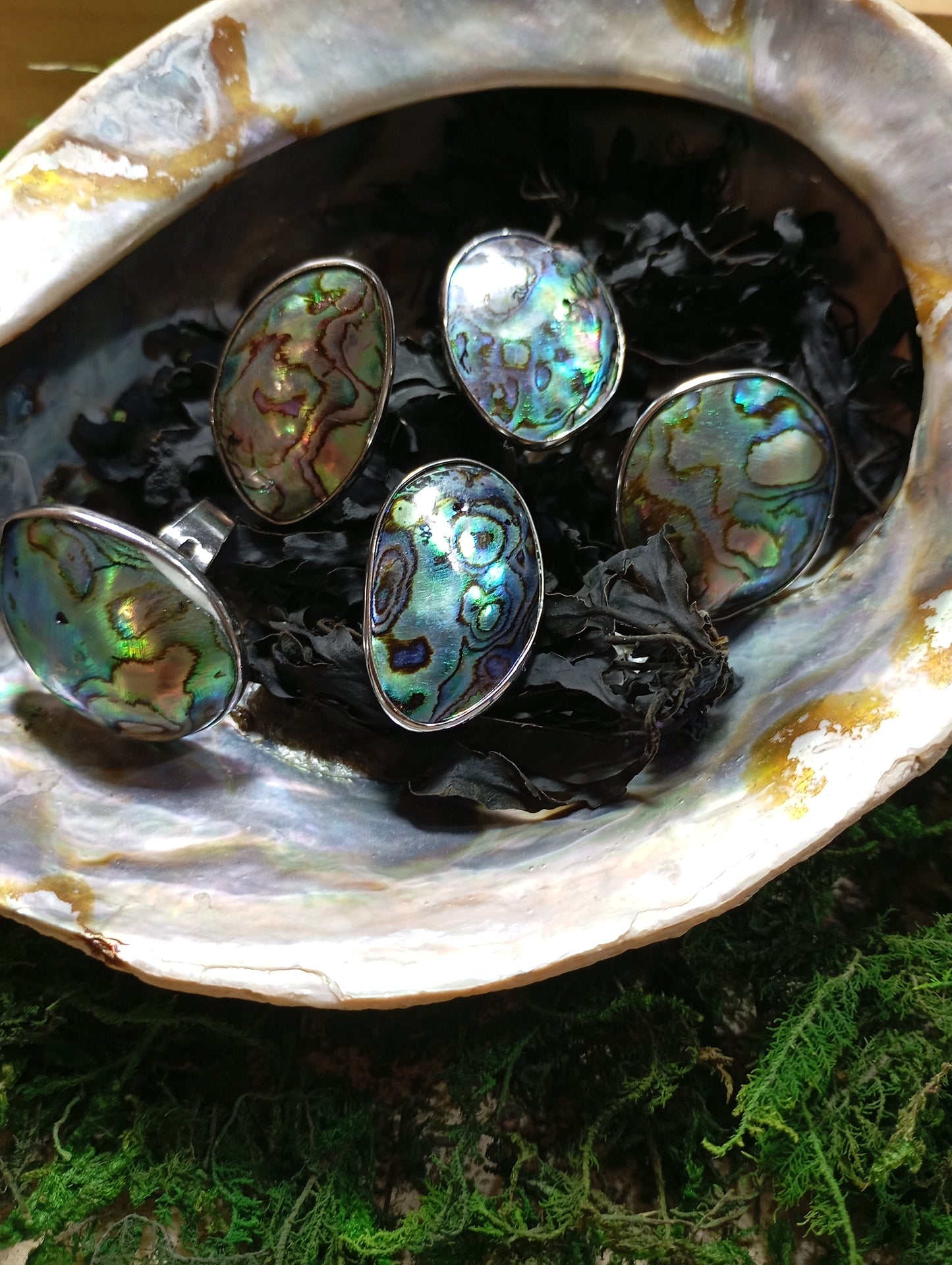 Abalone adjustable rings