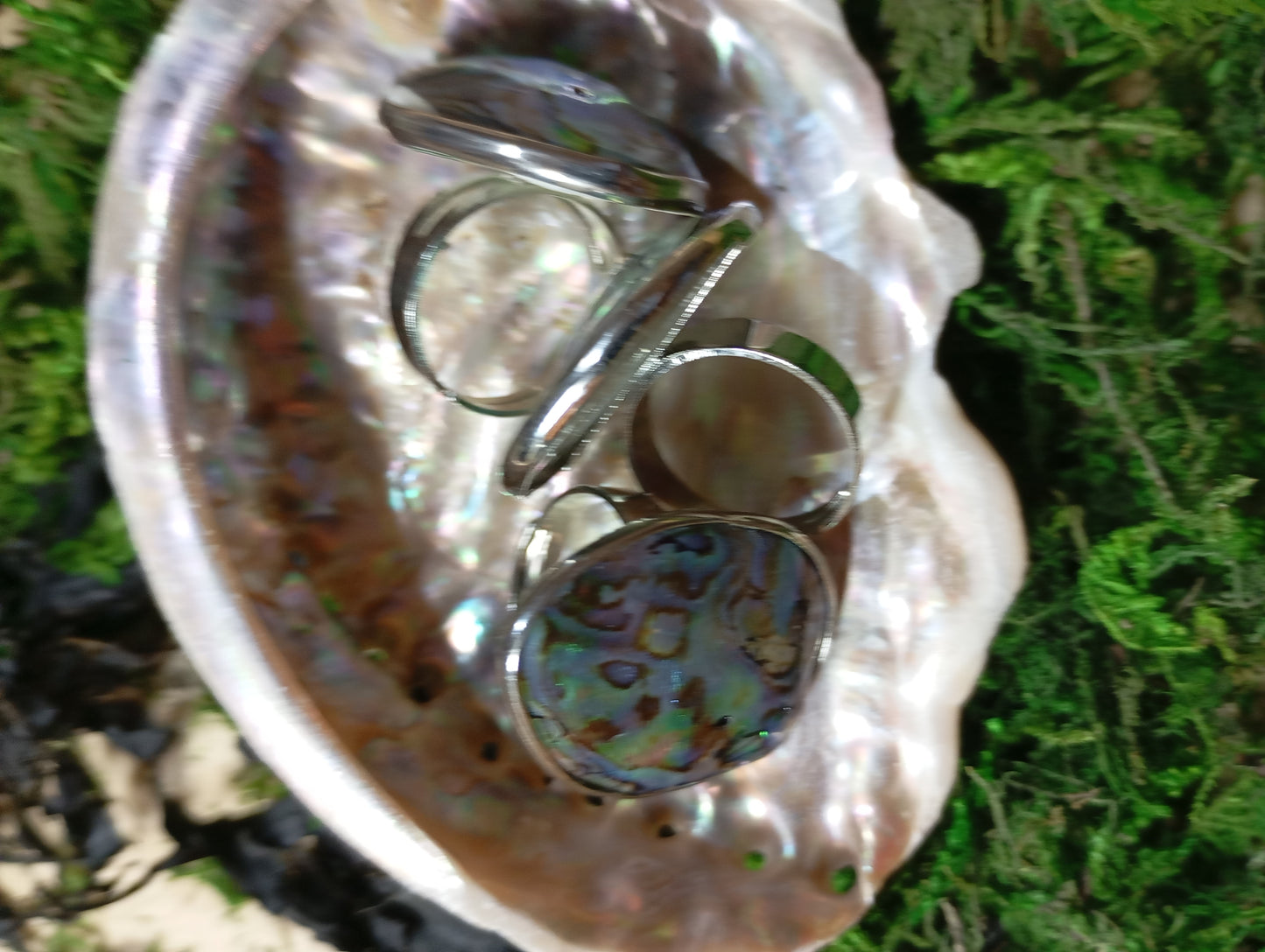 Abalone adjustable rings