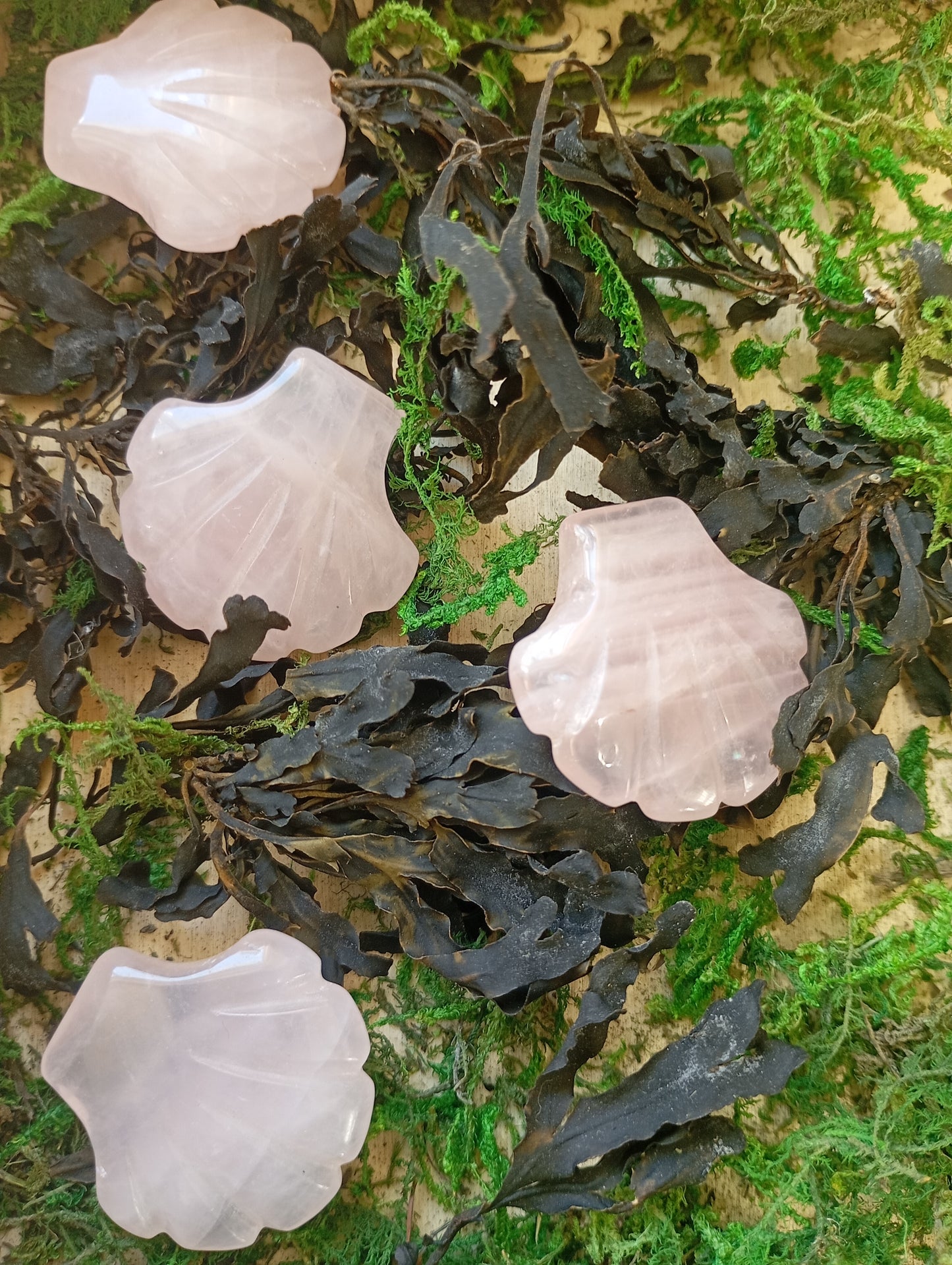 Rose quartz clams