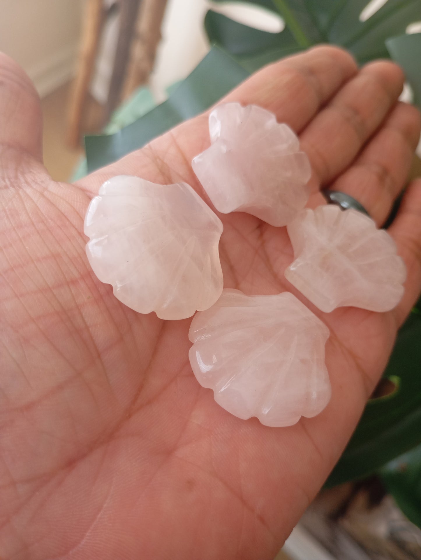 Rose quartz clams