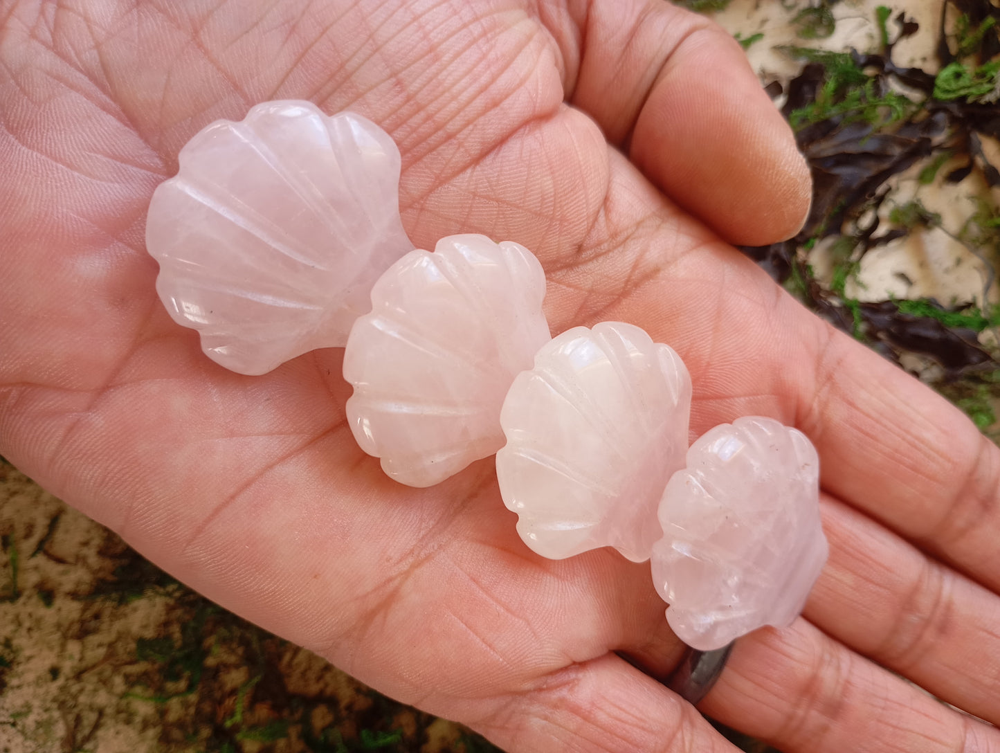 Rose quartz clams