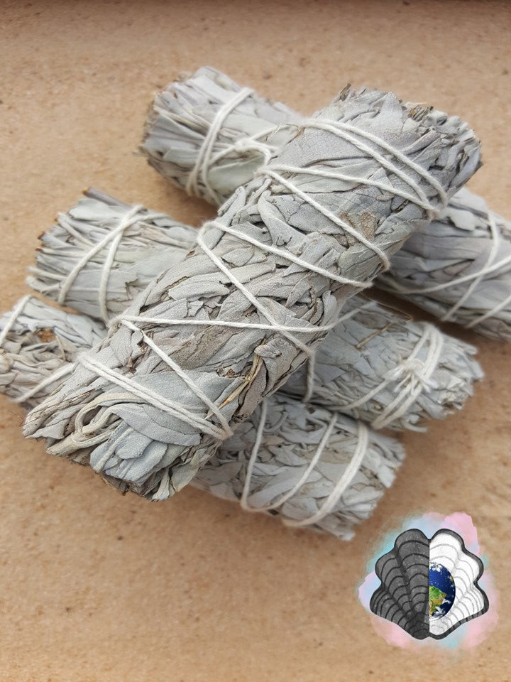 4 Inch White Sage