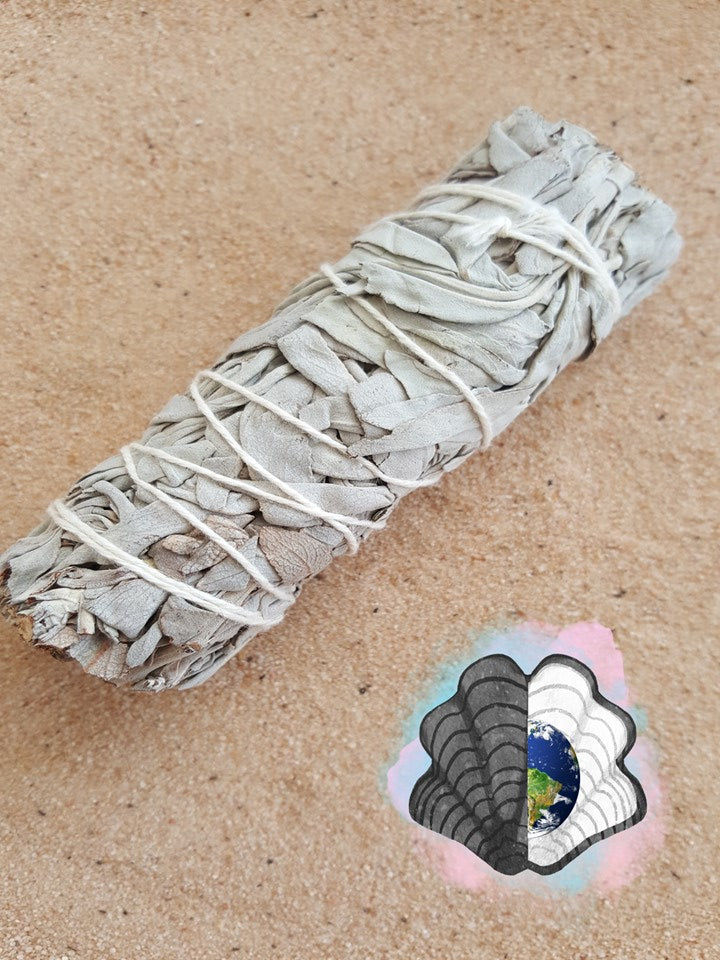 4 Inch White Sage