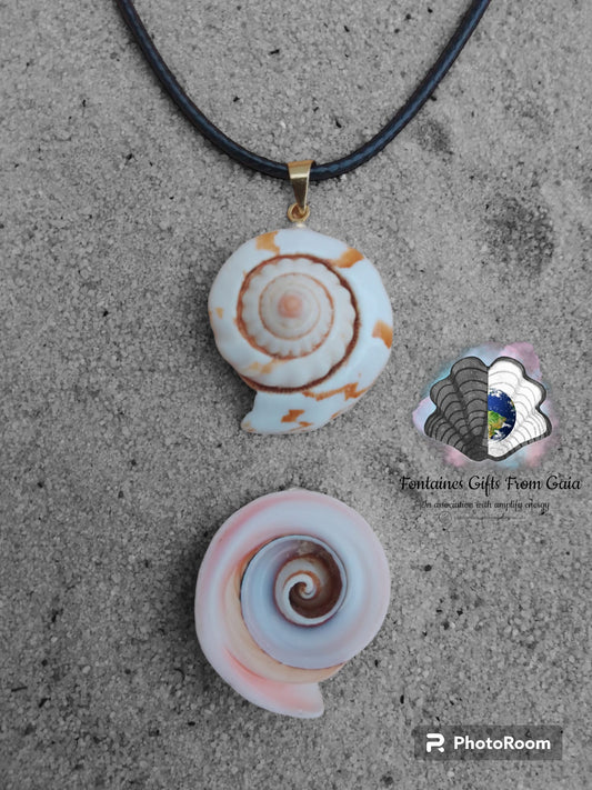 Shiva Shell Necklace and Shell