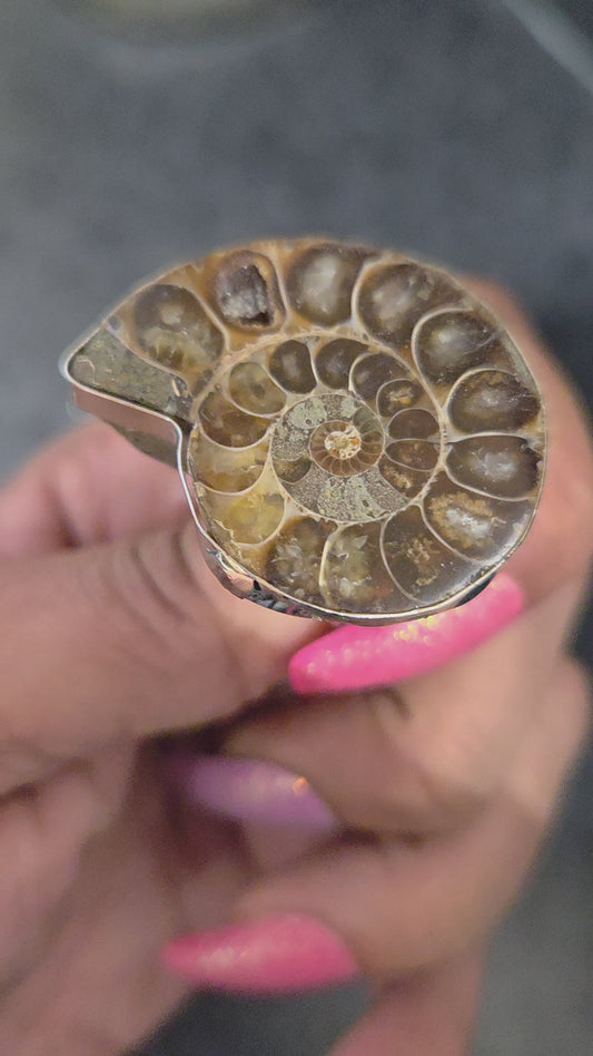 Ammonite adjustable ring.