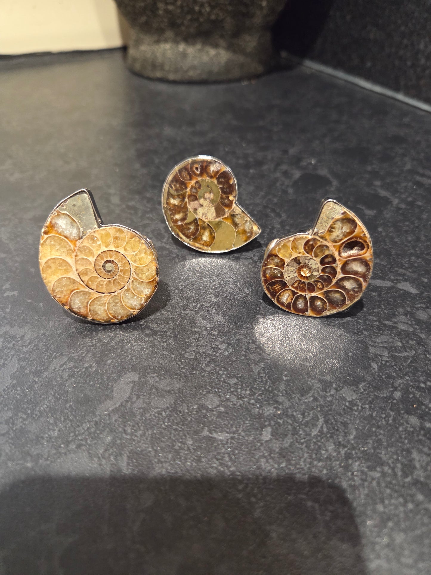 Ammonite adjustable ring.