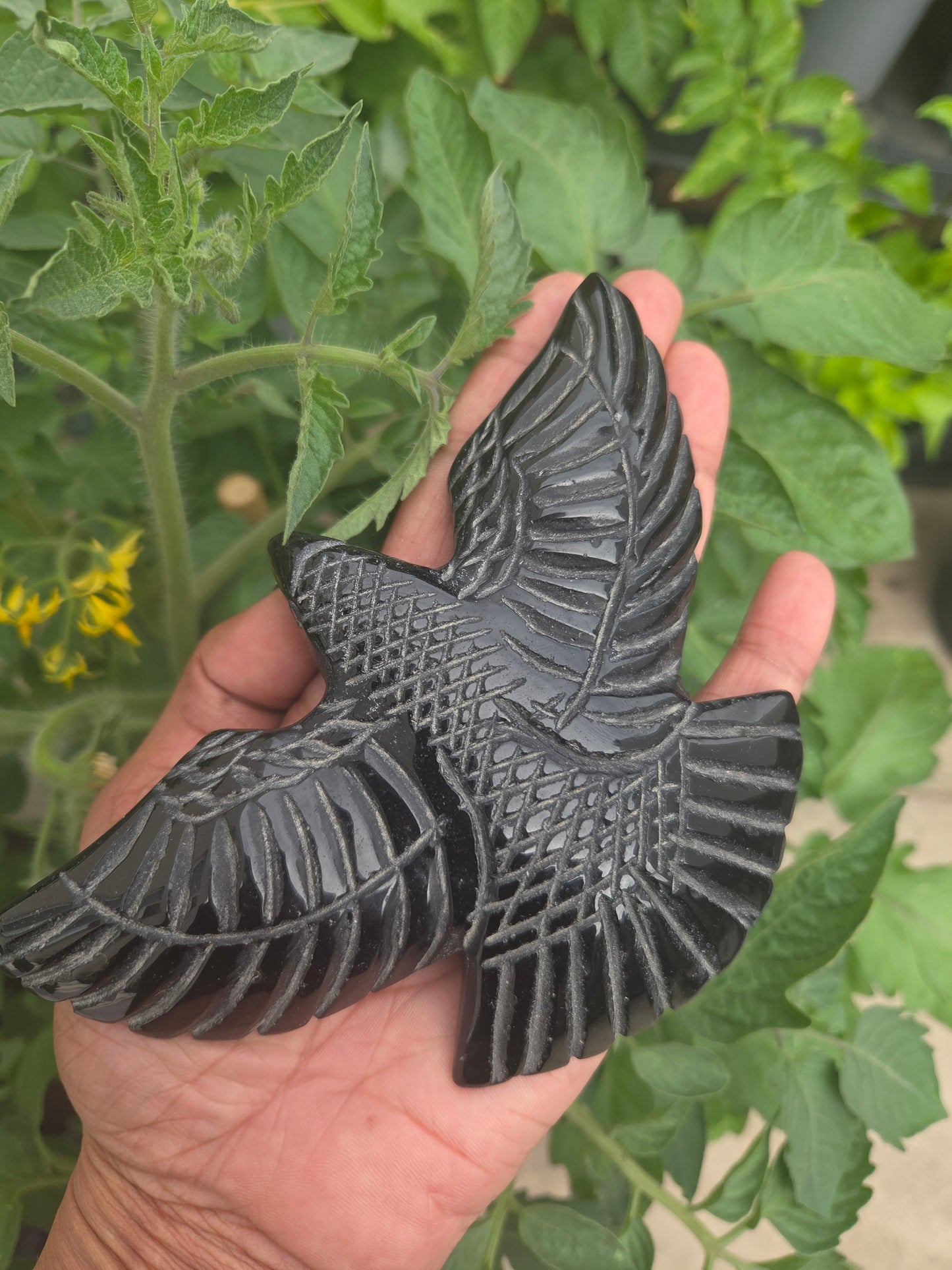 Obsidian eagle