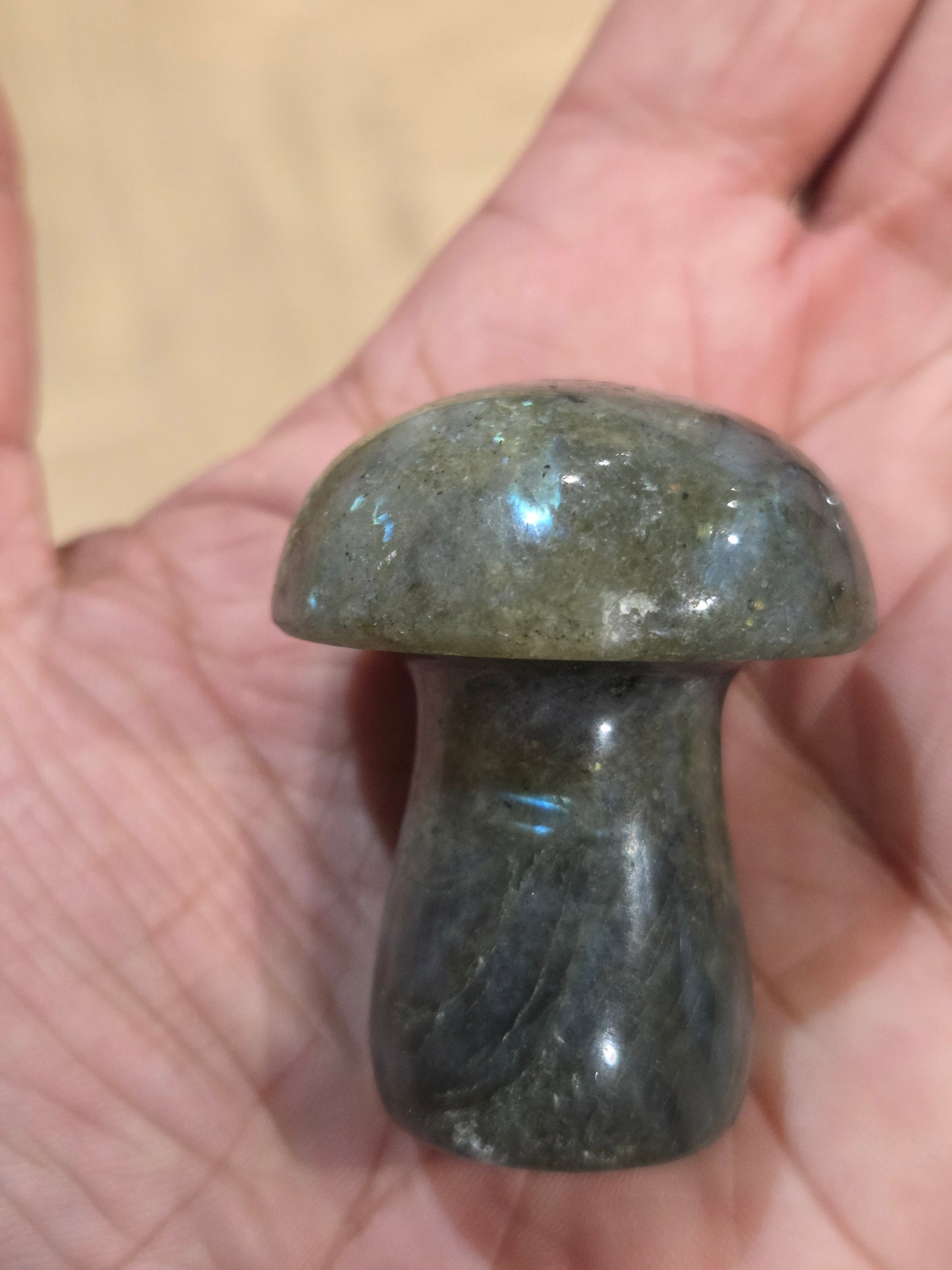Labradorite Mushrooms