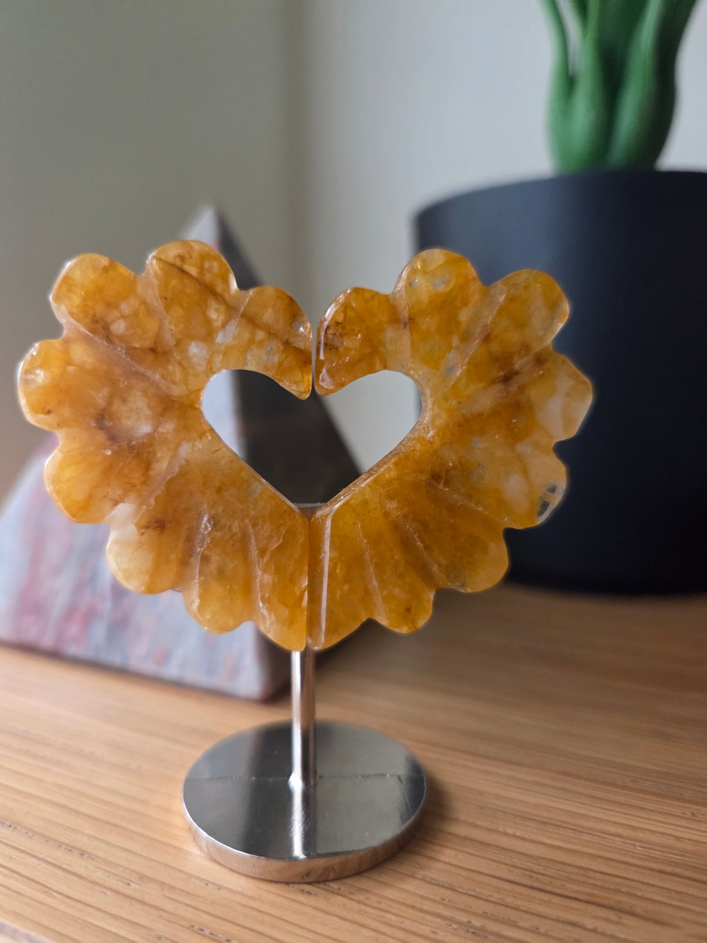 Golden healer Heart wings 🪽