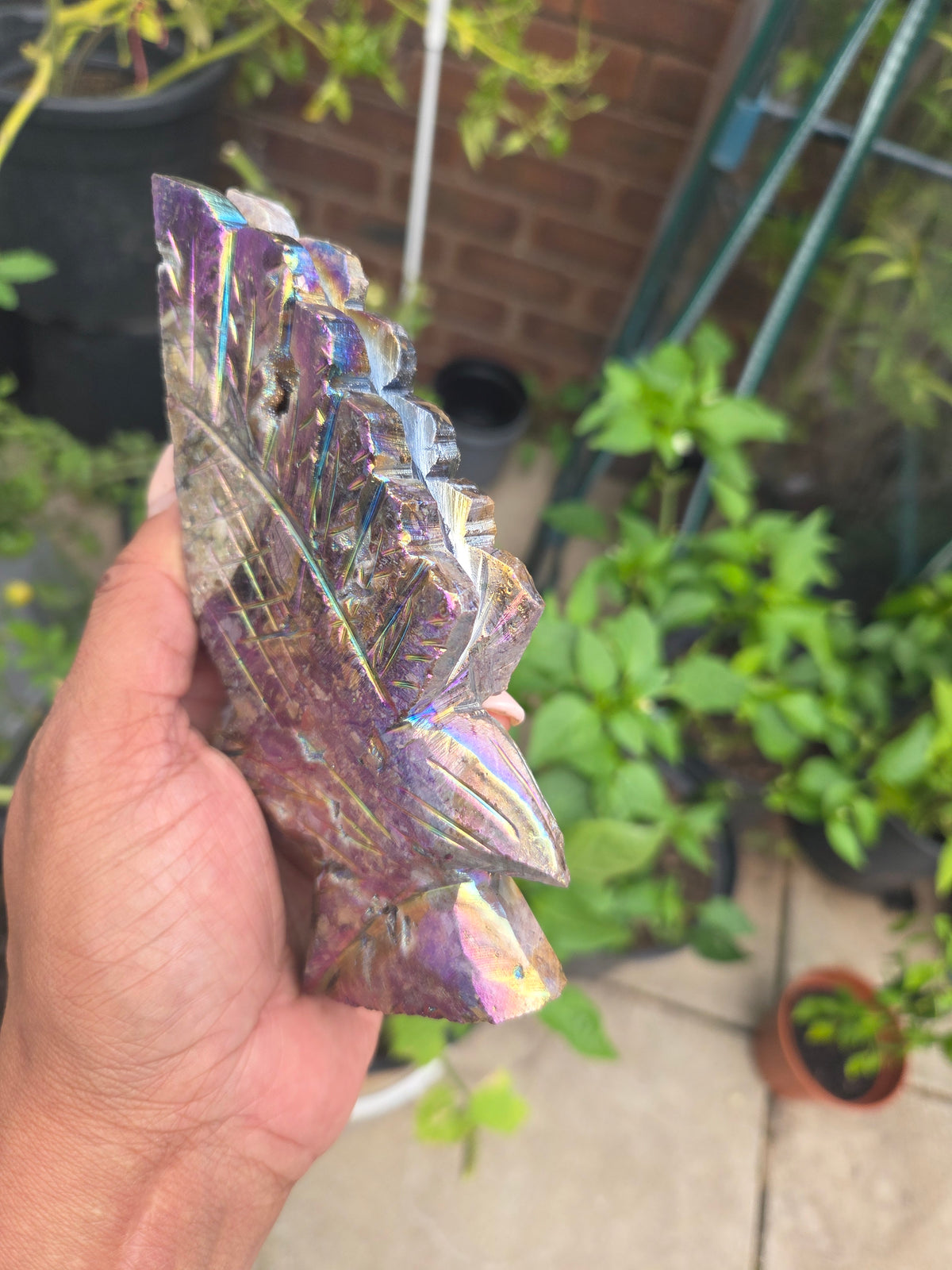 Aura Sphalerite Eagle.