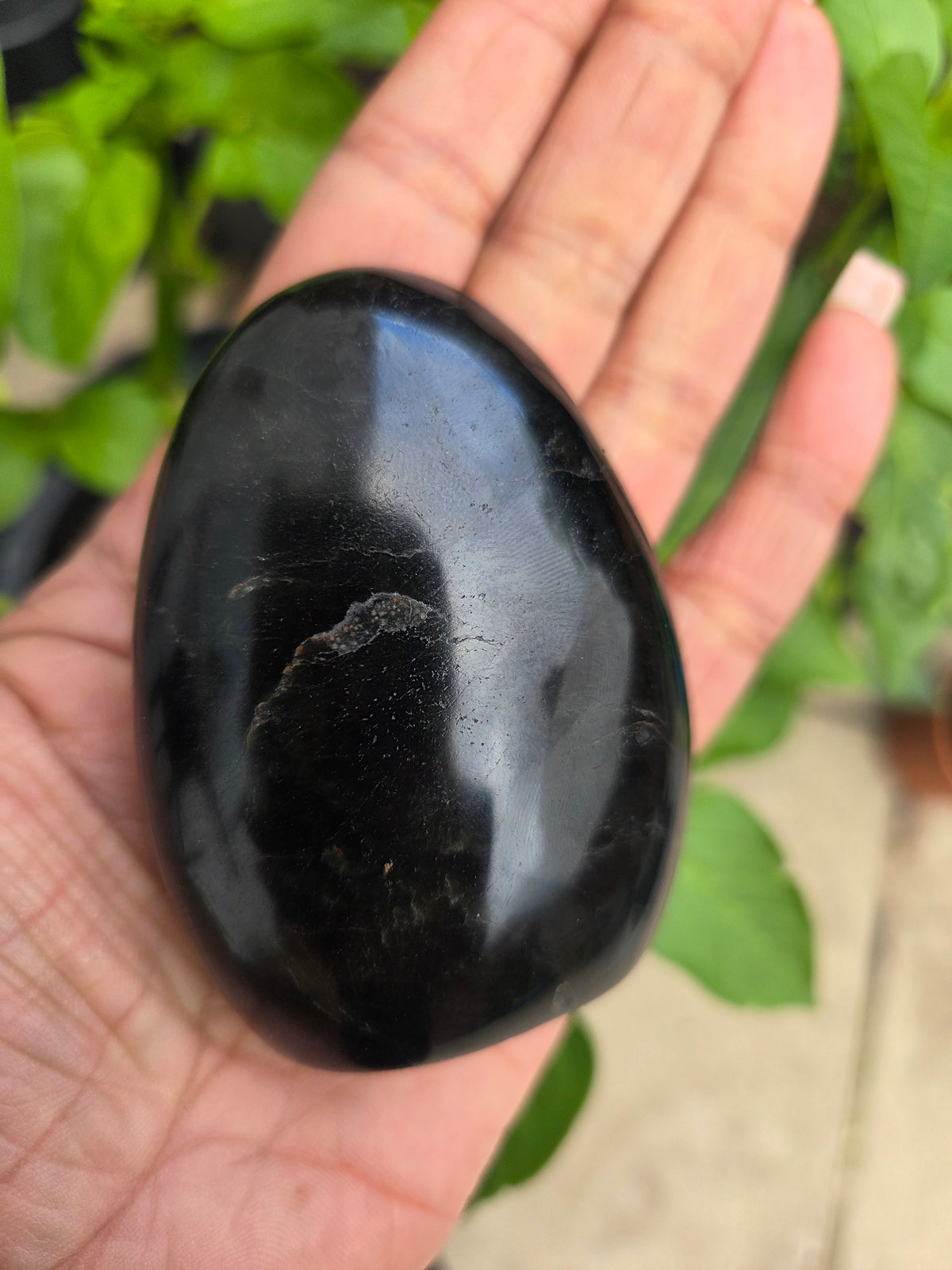 Black Tourmaline freeform