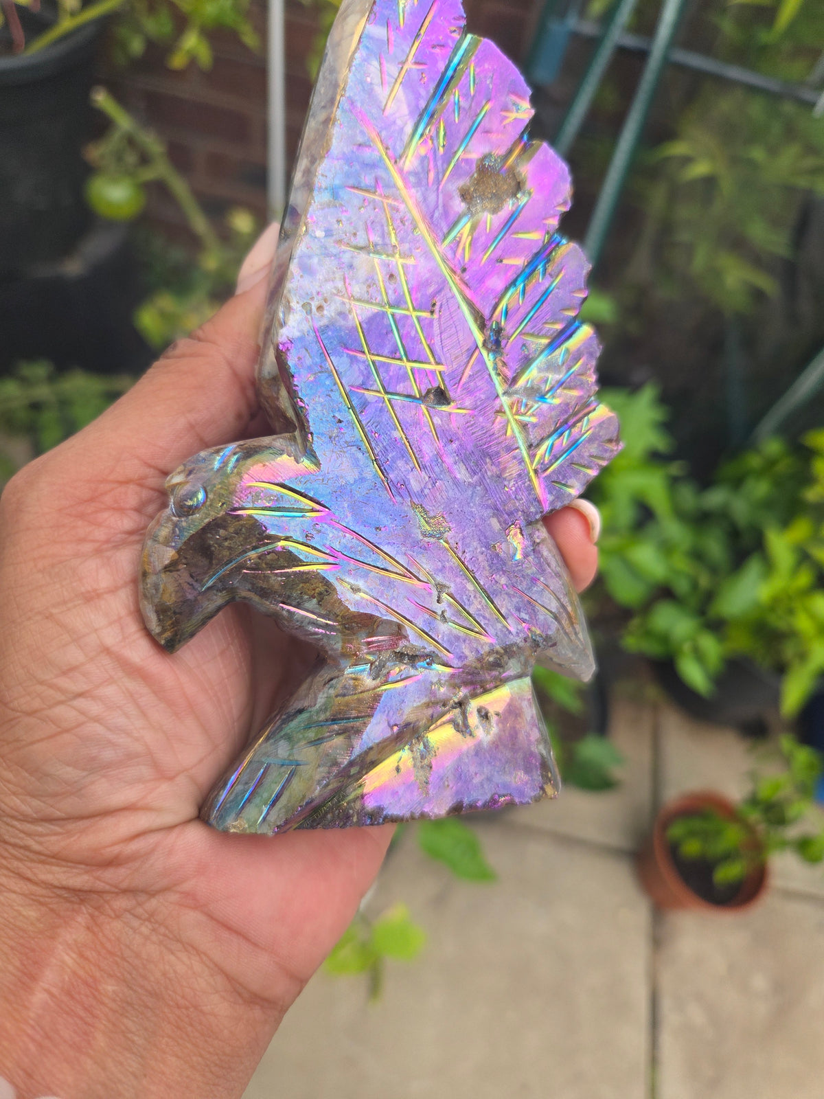 Aura Sphalerite Eagle.