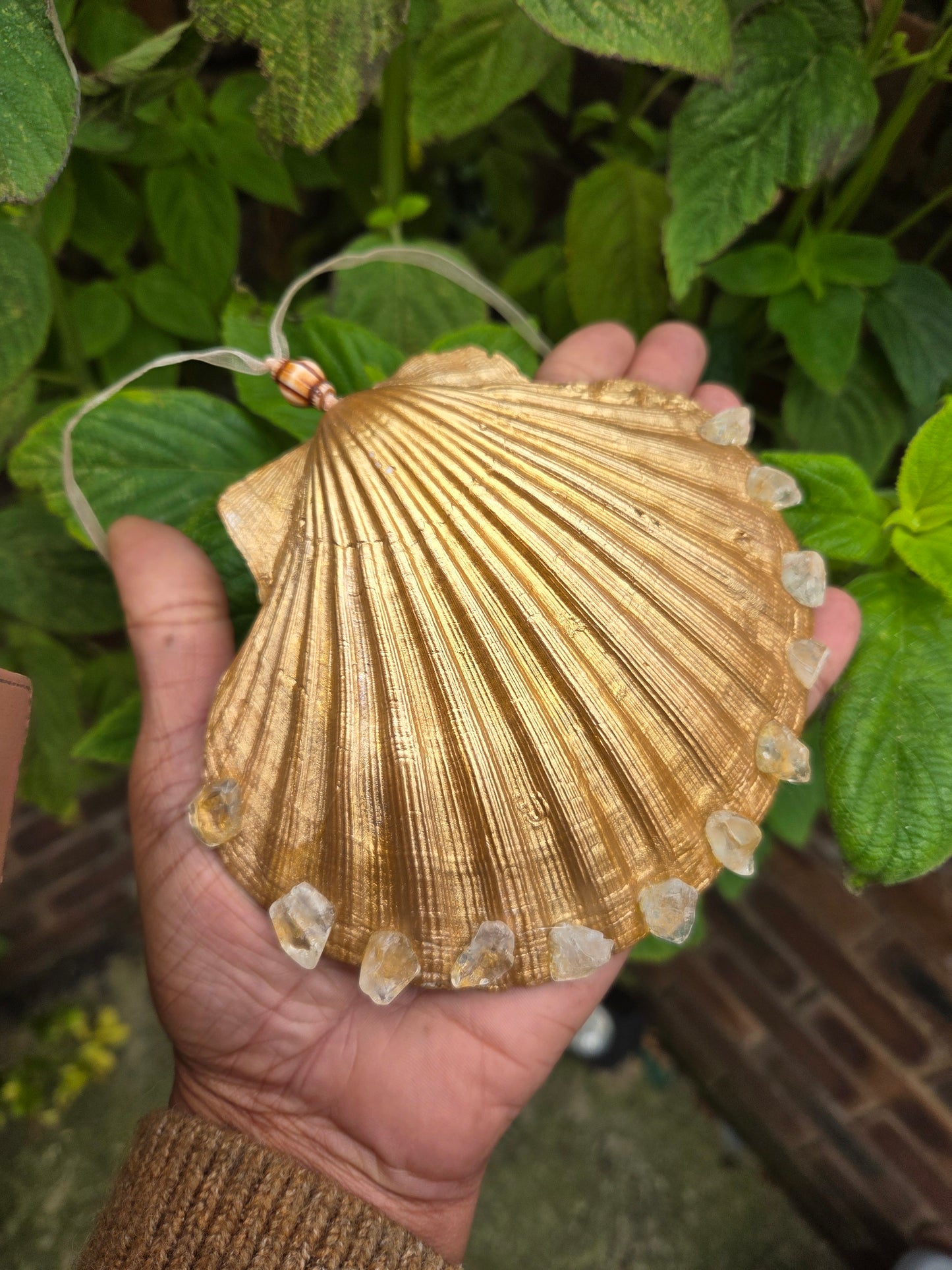 Christmas tree shell decorations.