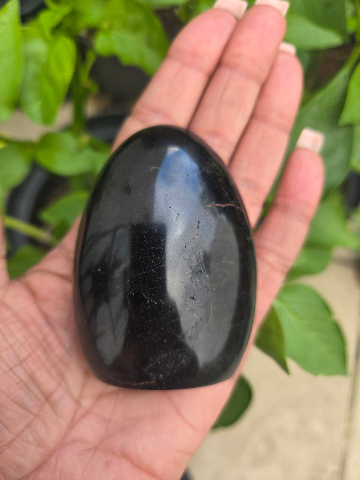Black Tourmaline freeform