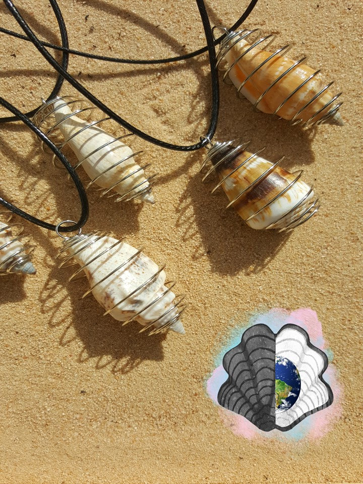 Spiral Caged Conch